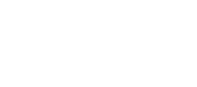 Institute of EI Logo_WHITE REVERSE